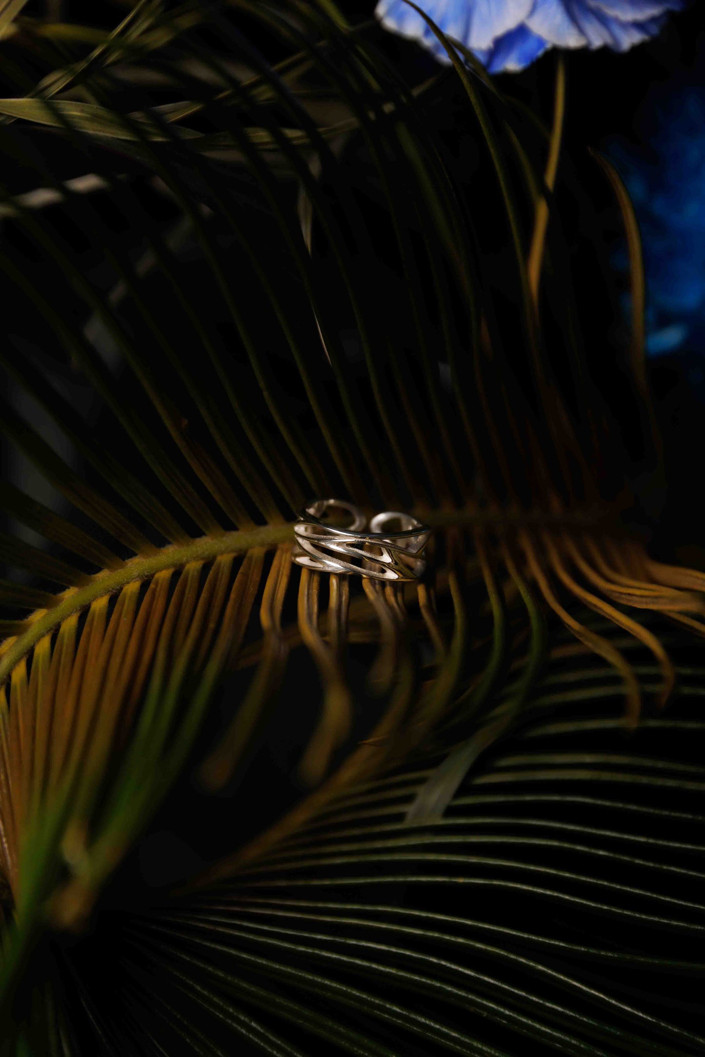 Tide Ring