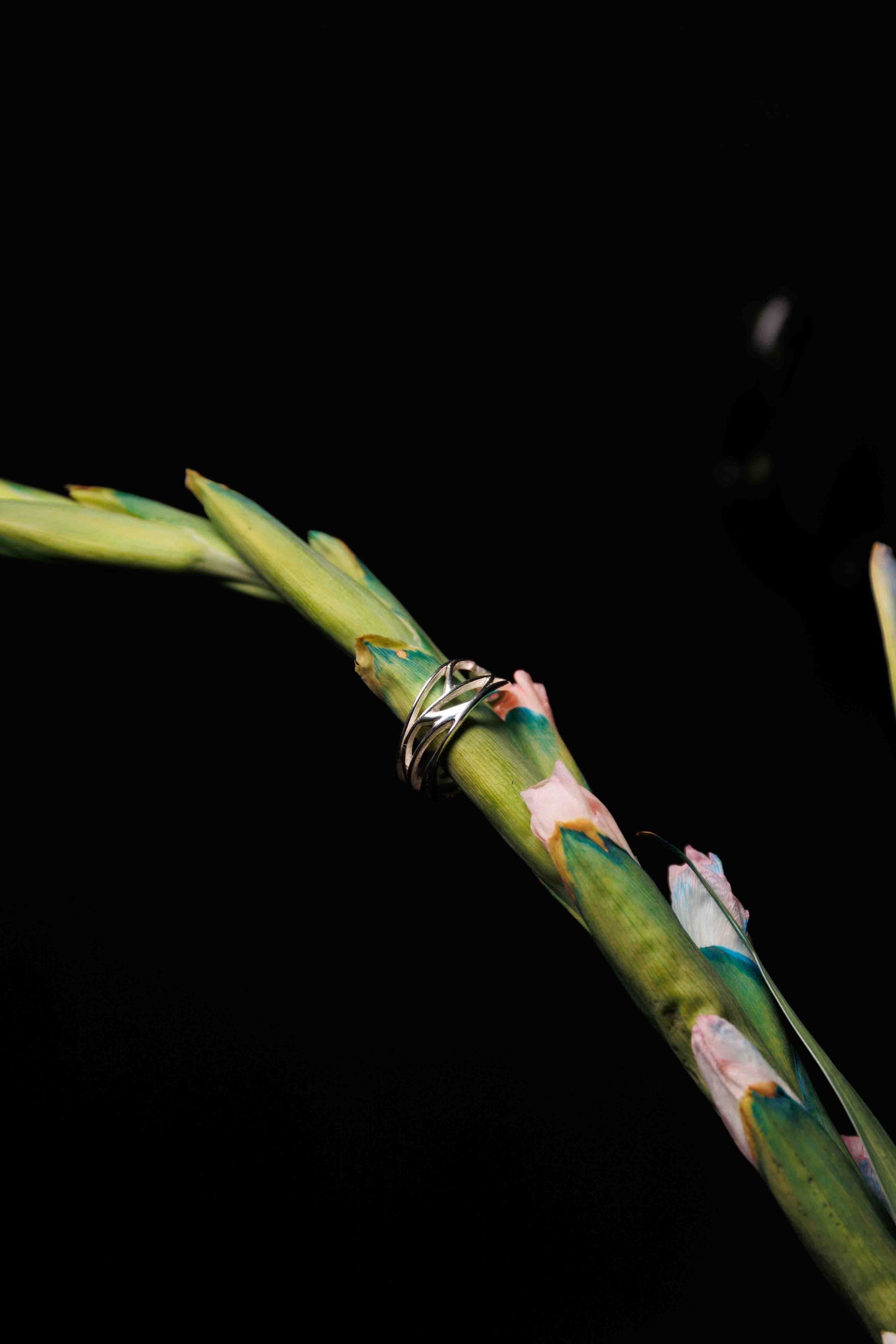 Tide Ring